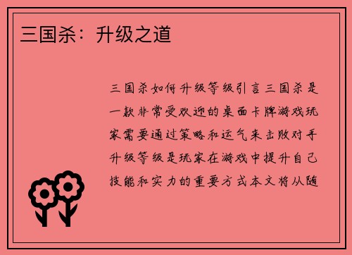 三国杀：升级之道